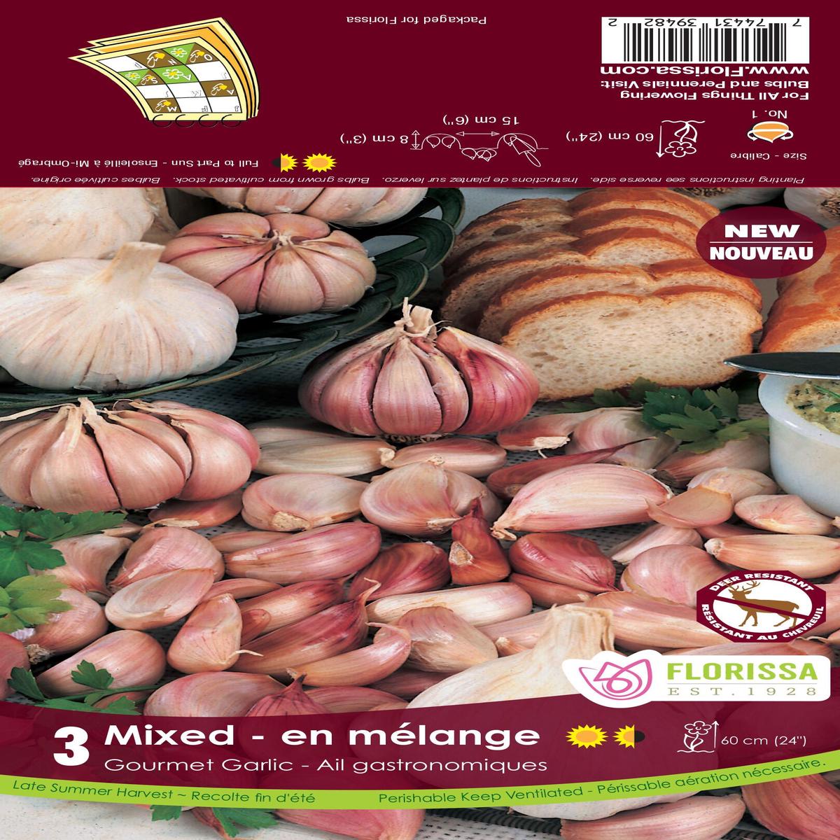 Garlic - German Red