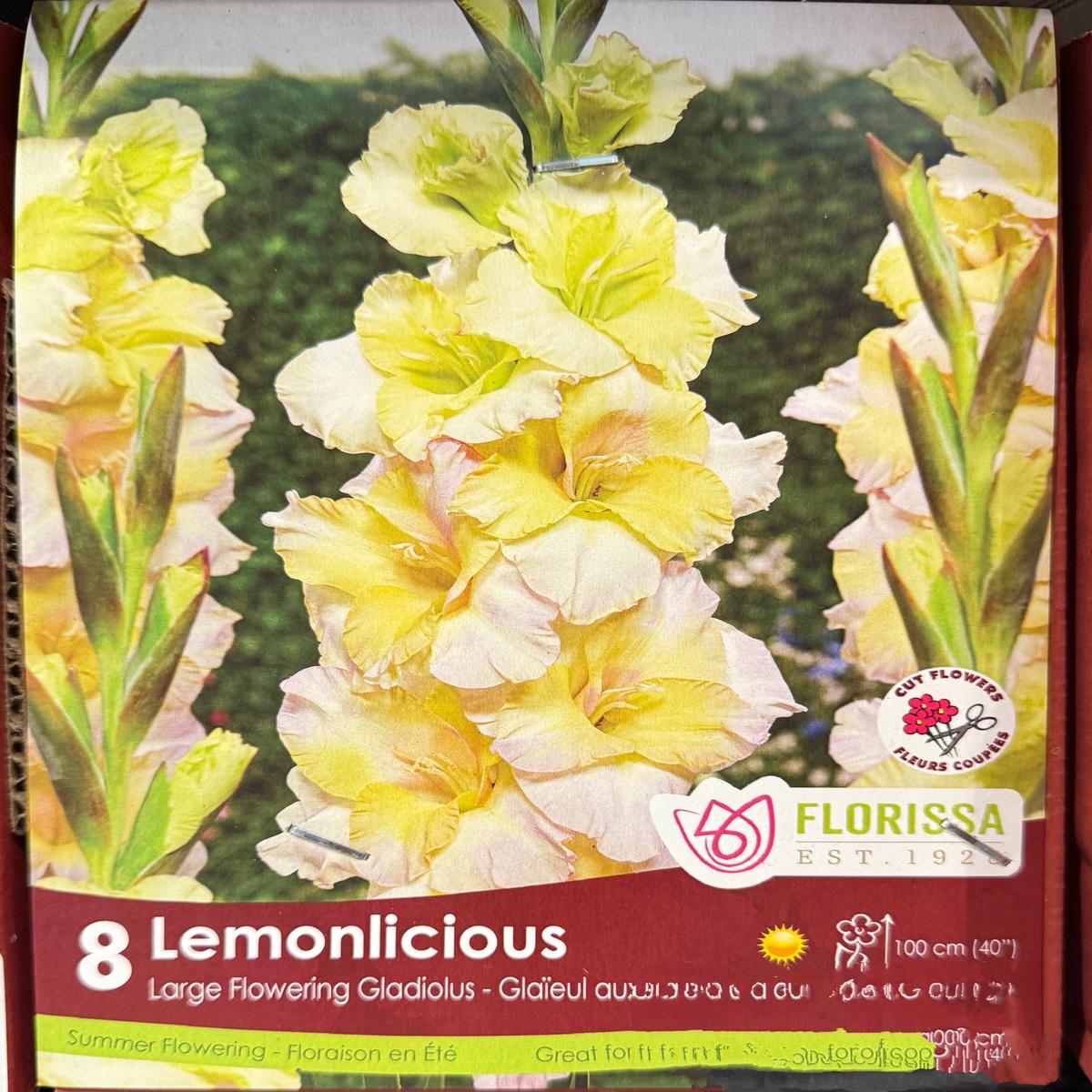Glads - Lemonlicious