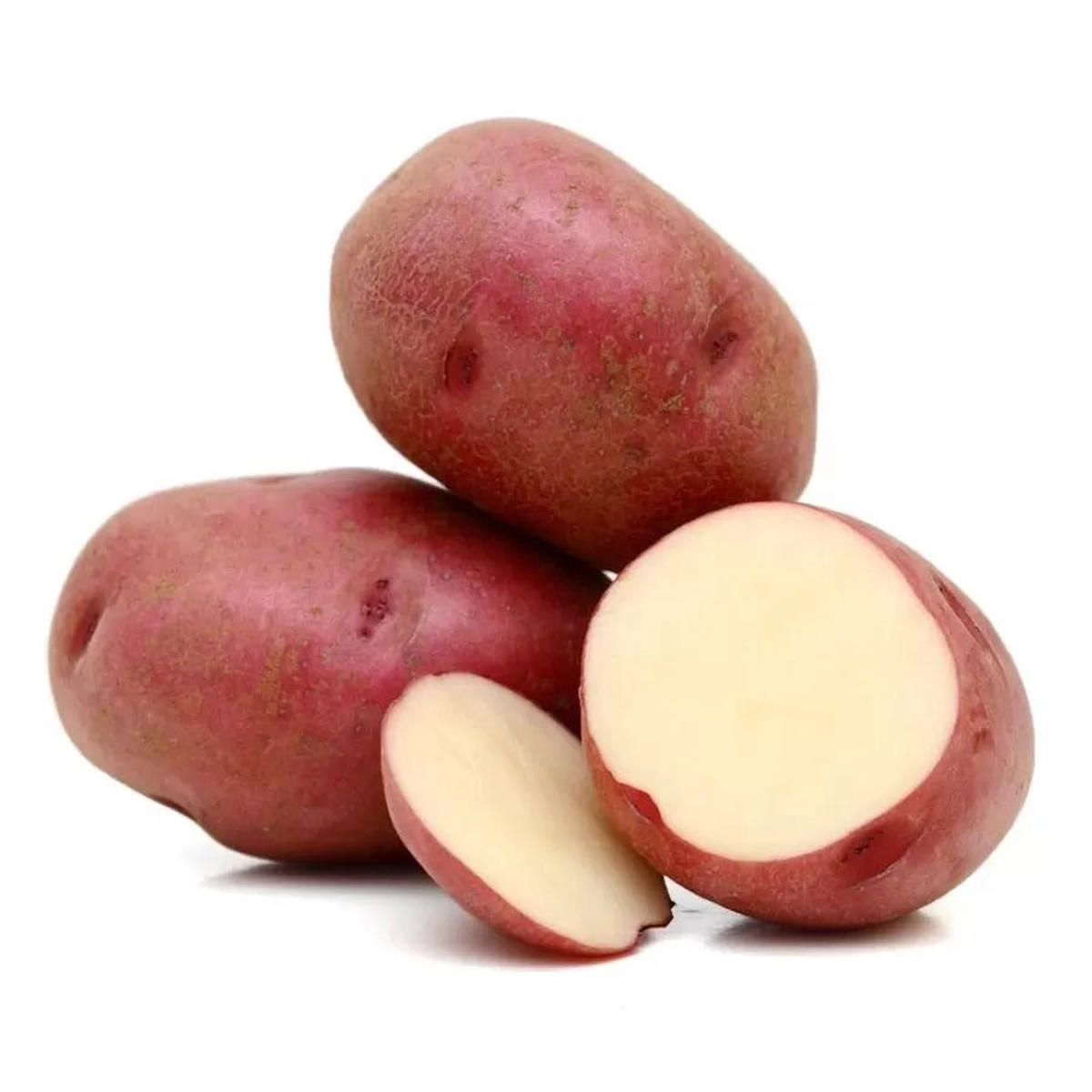 Seed Potato - Red Pontiac 5 lb