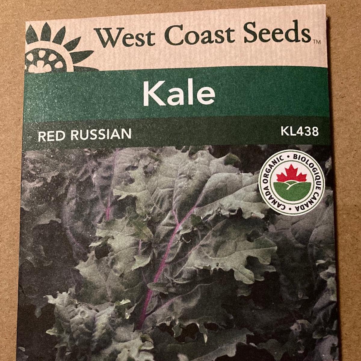 Seed WC Kale Red Russian organic