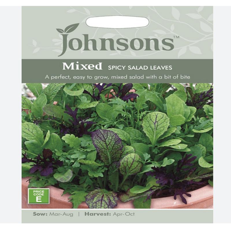 Spicy Salad - Mixed Leaves