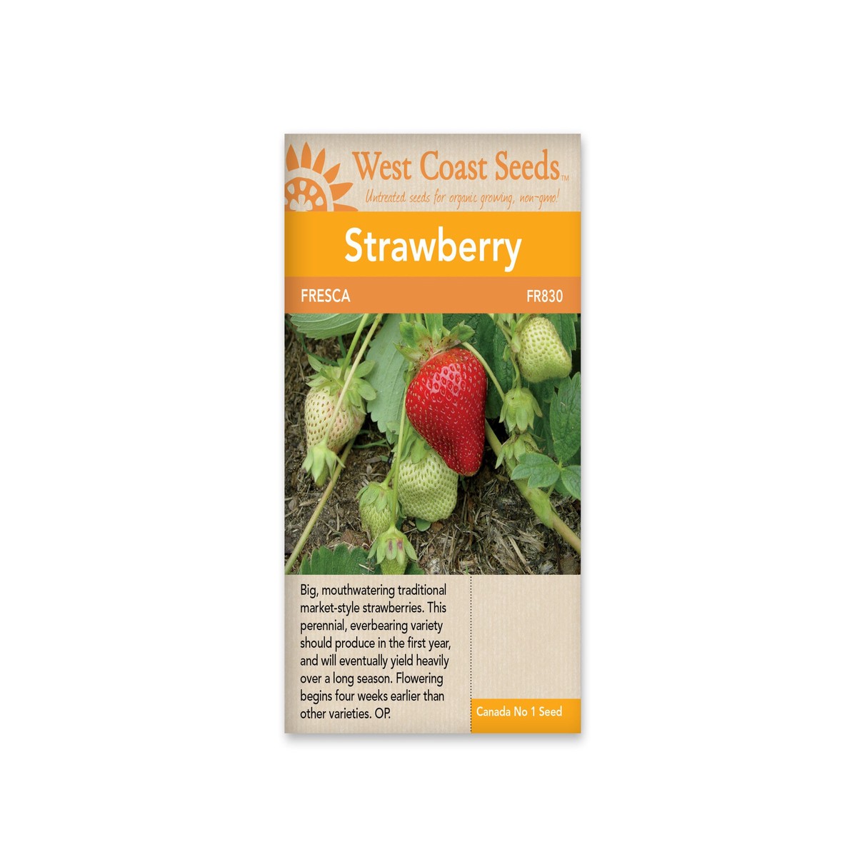 Strawberries-Fresca (40 Seeds)-West Coast