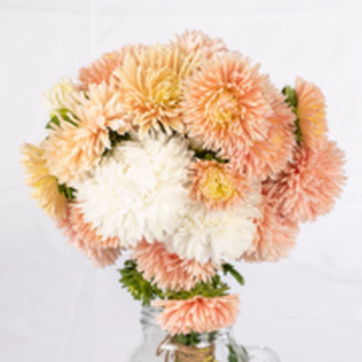 The Roses Mix Aster West Coast Seeds