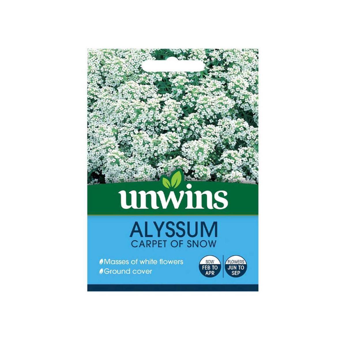 Alyssum Carpet of Snow Garden Flower Seeds