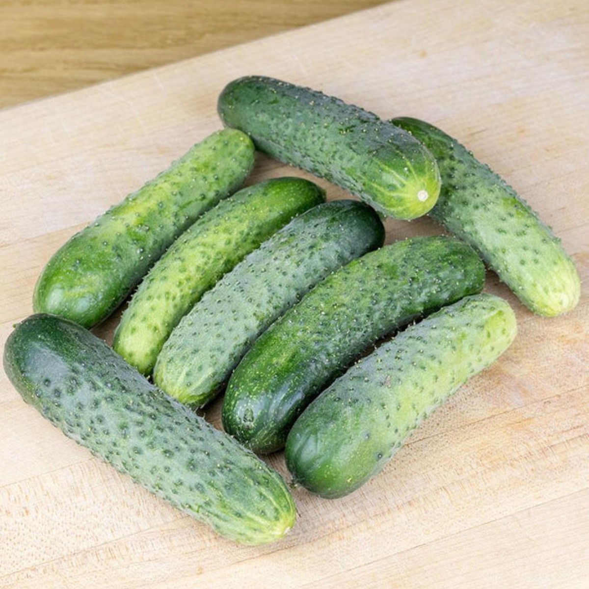 Artist Gherkin Coated F1 Cucumber West Coast Seeds