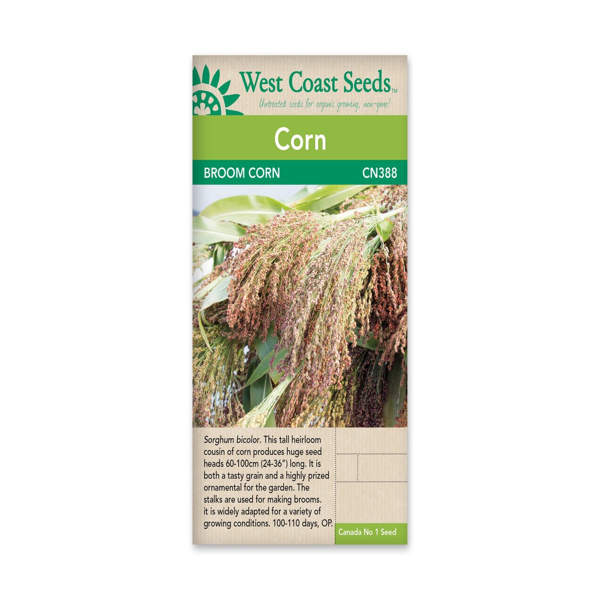 Broom Corn-Mixed Colours Broom-West Coast