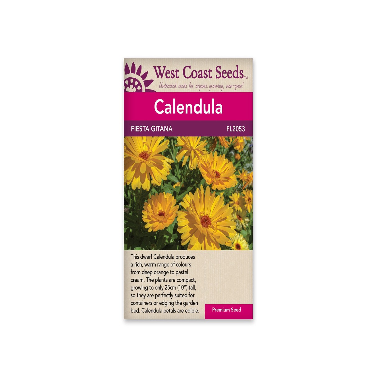 Calendula-Fiesta Gitana-West Coast