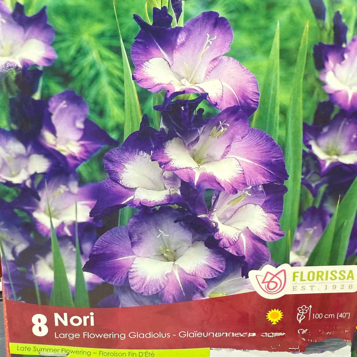 Glads - Nori
