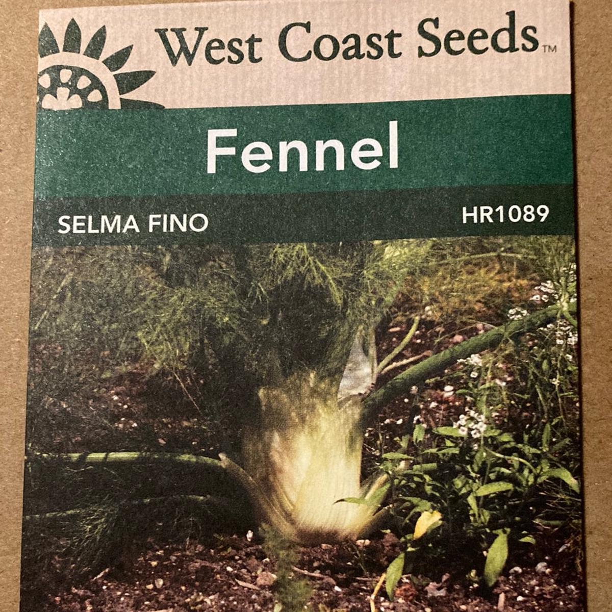 Seed WC Fennel Selma Fino