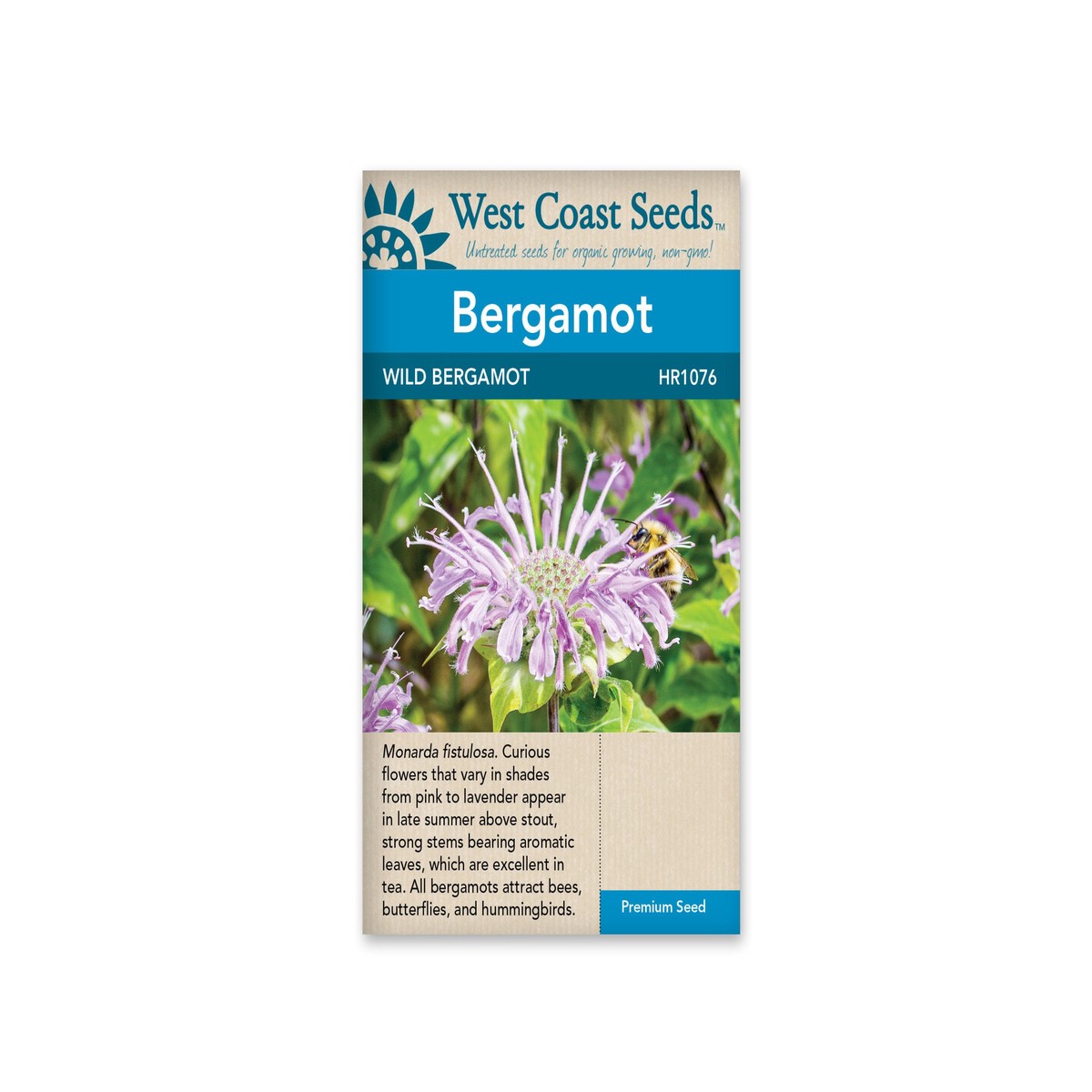 Bergamot-Wild Bergamot-West Coast