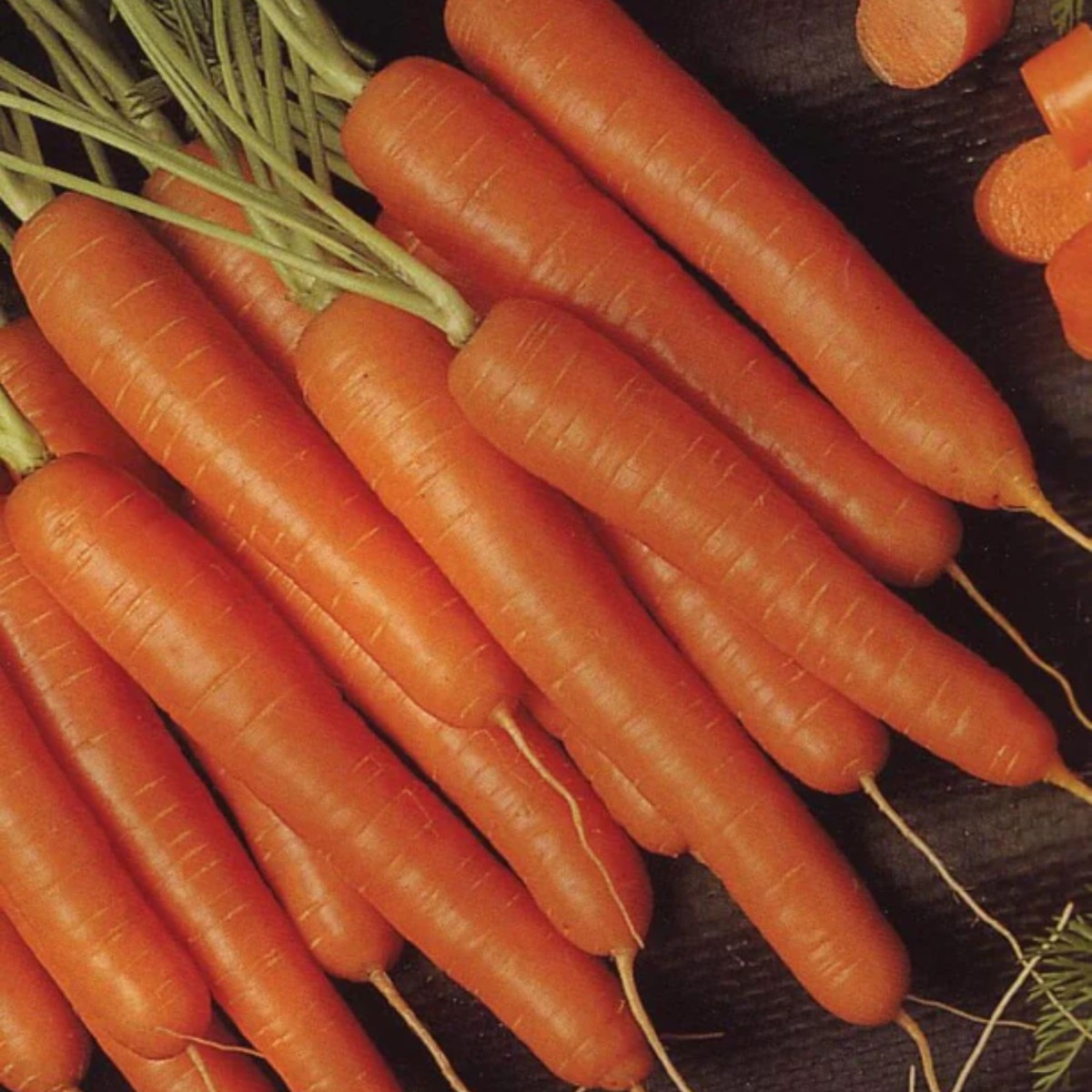 Bolero F1 Carrot West Coast Seeds