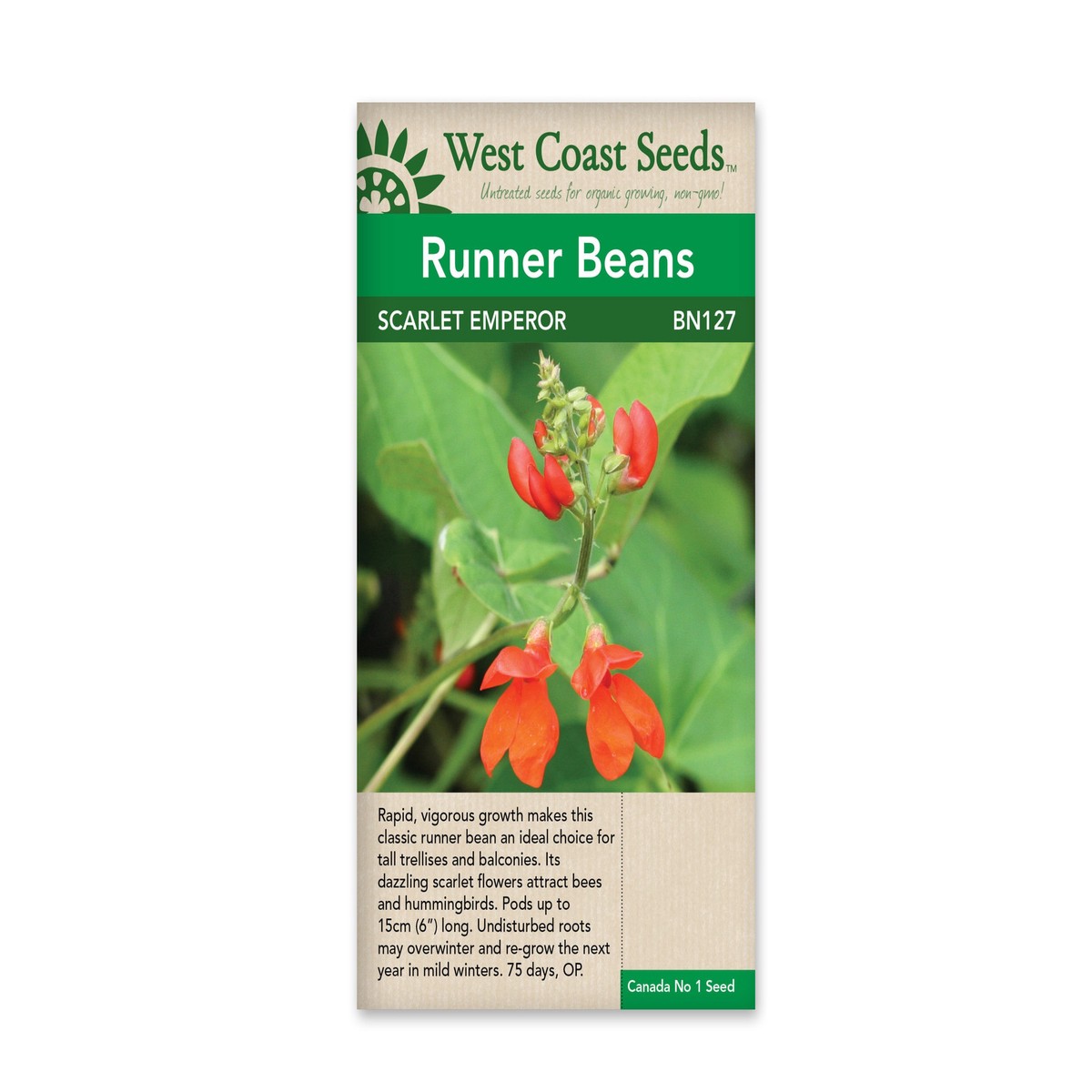 Runner Bean-Scarlet Emperor-West Coast