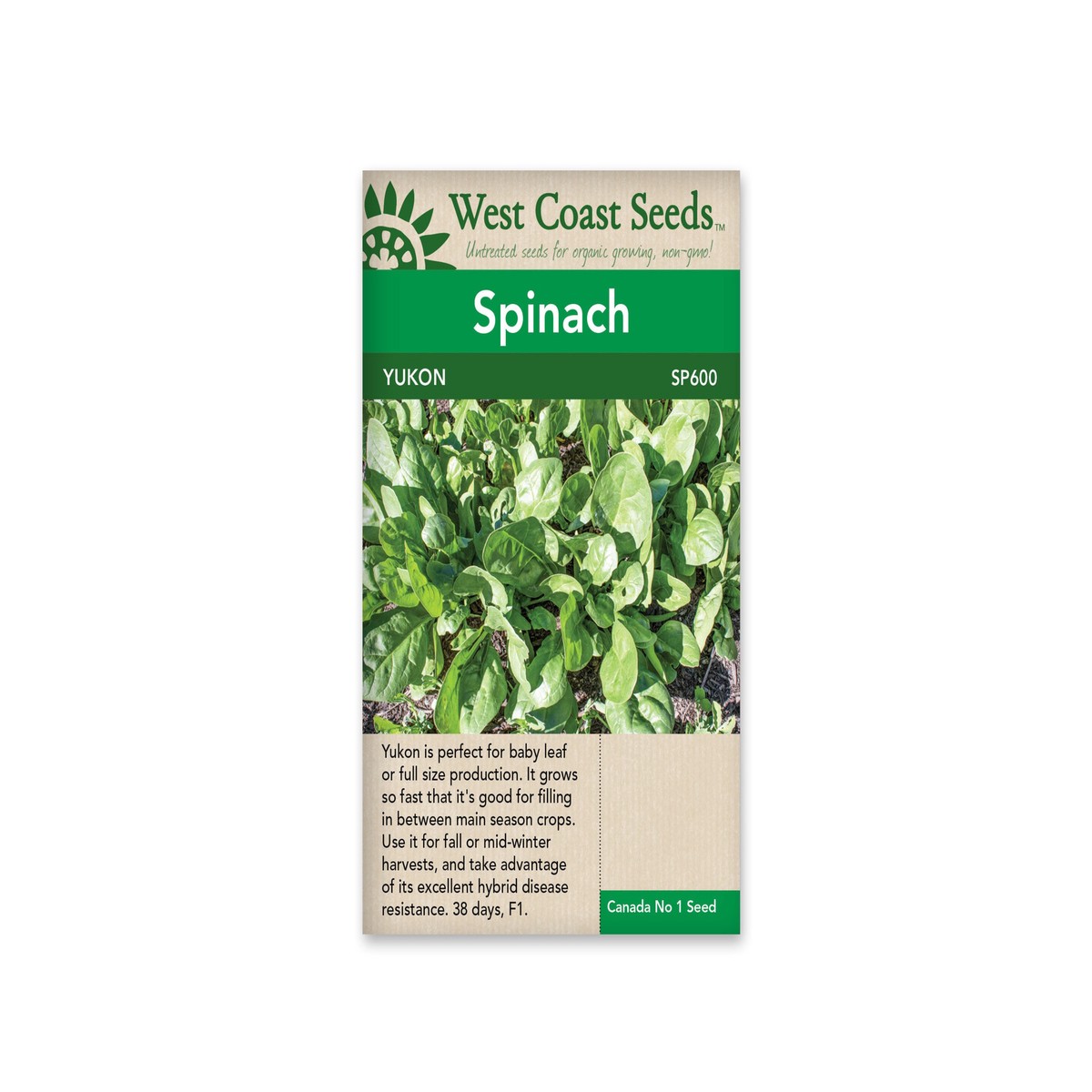 Spinach - Yukon -West Coast