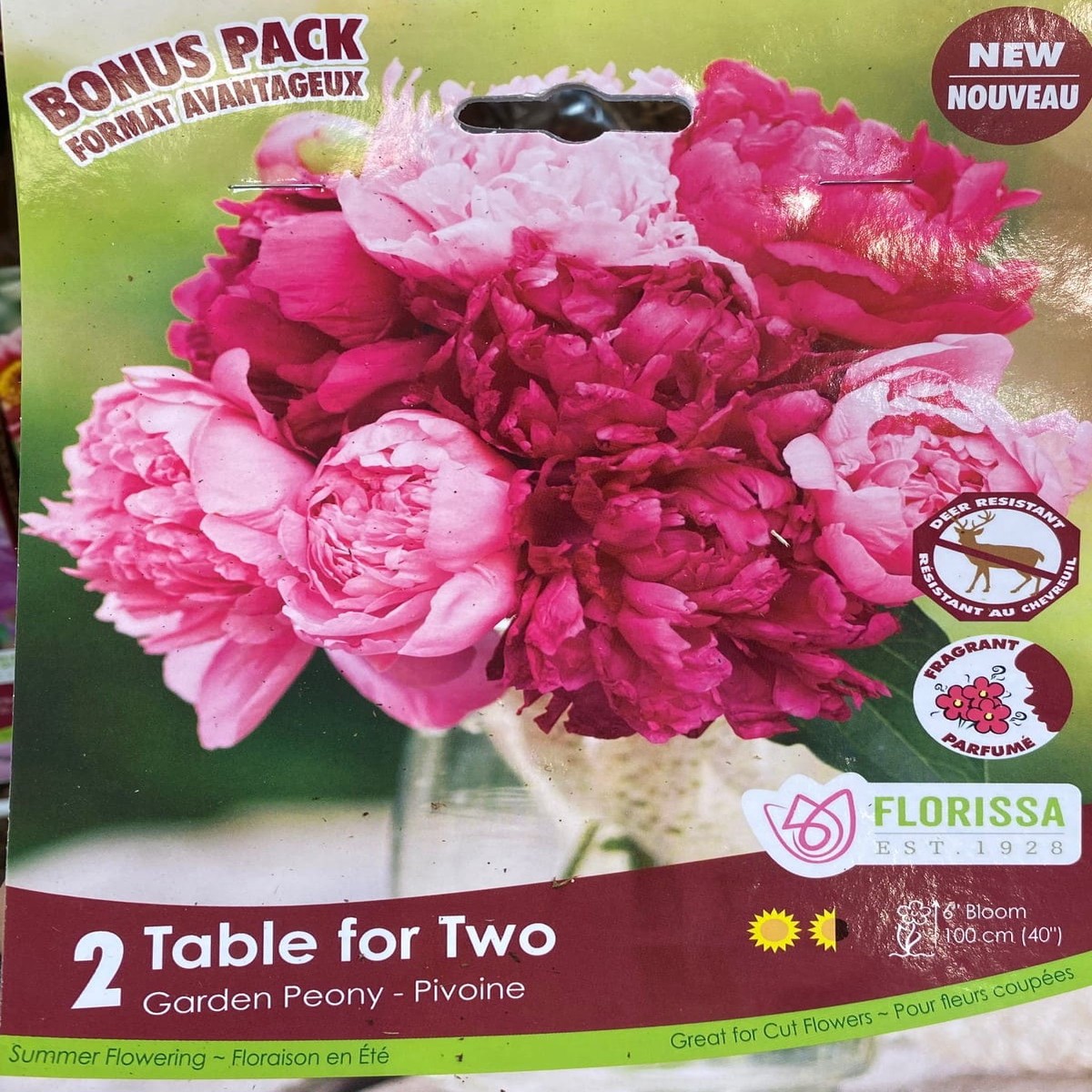 Spring Bulbs - Garden Peony-Florissa