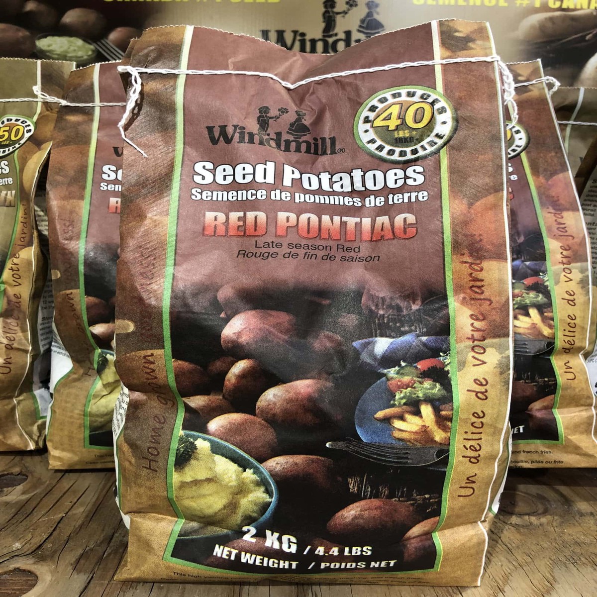 Spring Bulbs-Seed Potatoes Red Pontiac-Windmill