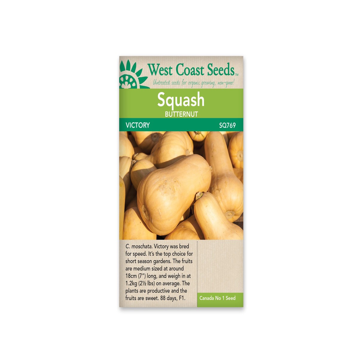 Butternut Squash - Victory - West Coast