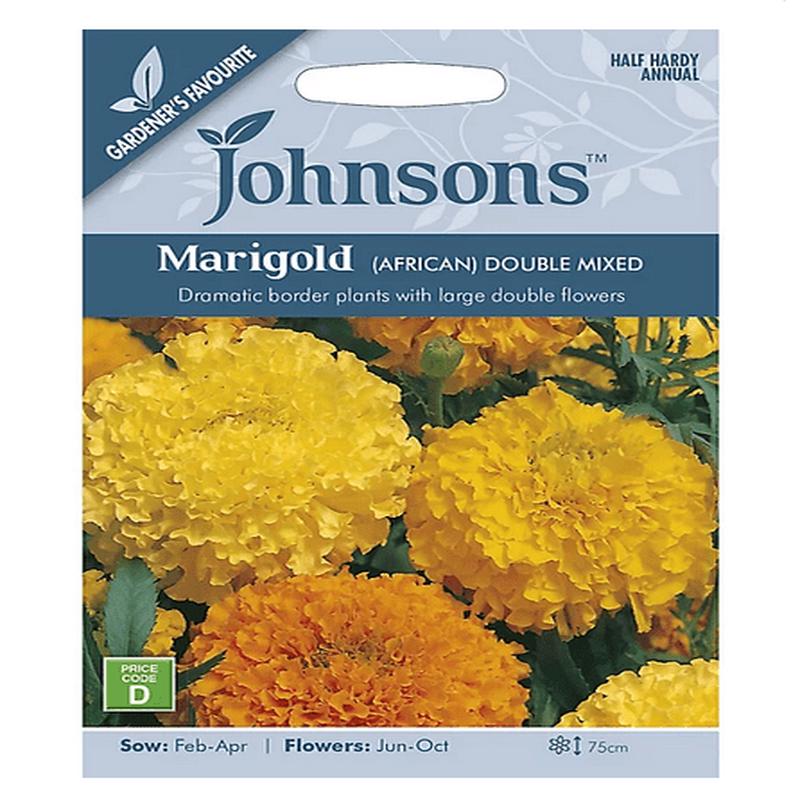 Marigold - African Double