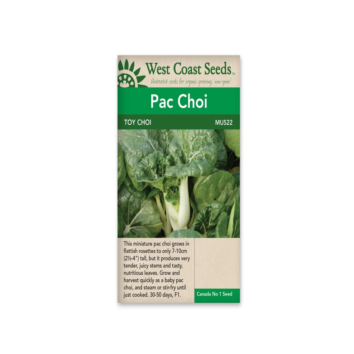 Pac Choi-Toy Choy -West Coast