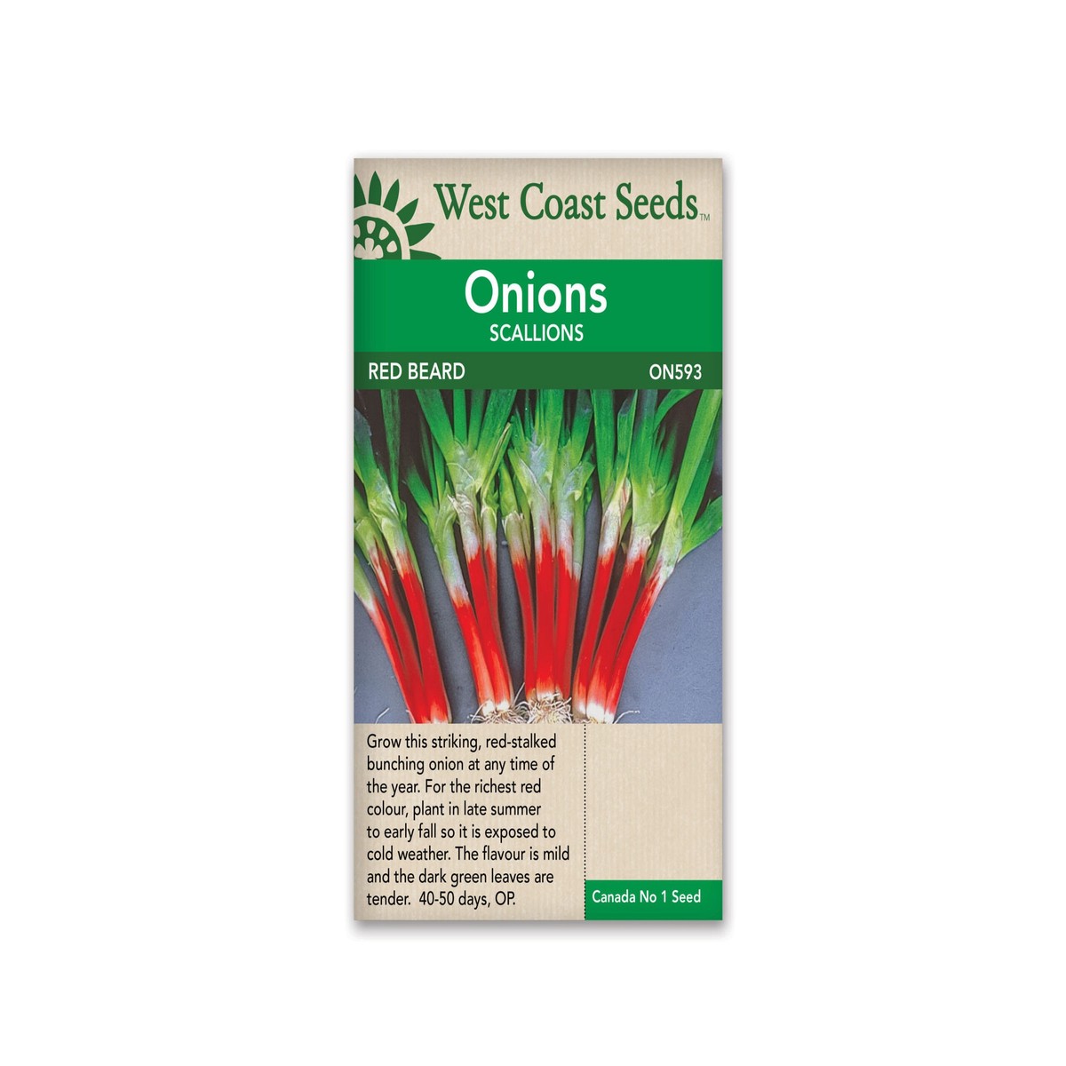 Scallions Onions-Red Beard-West Coast