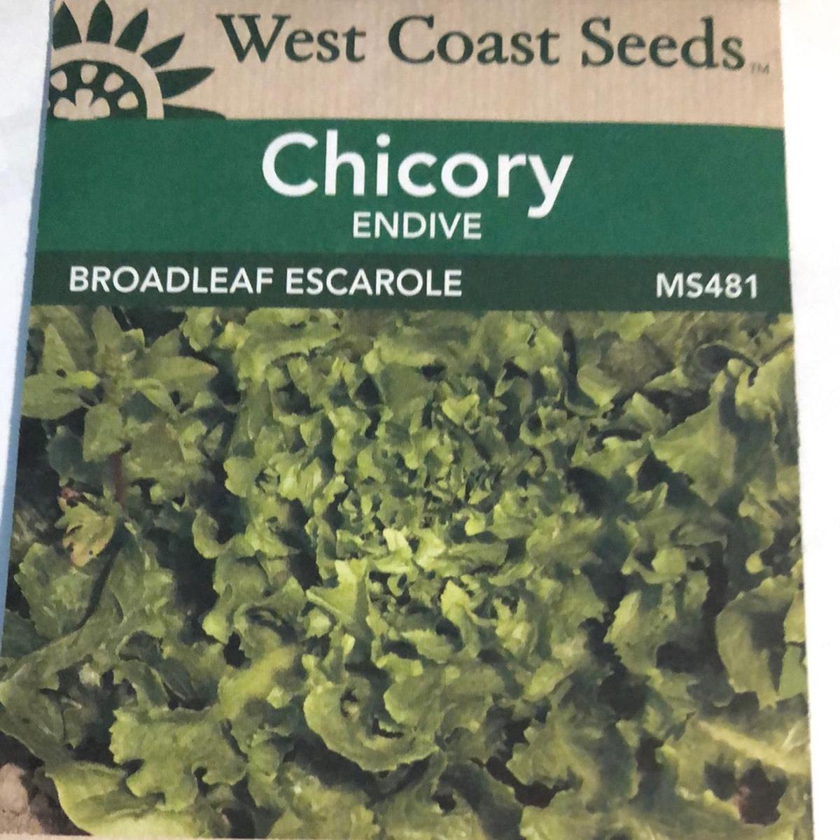 Seed WC Chicory Endive Broadleaf Escarole