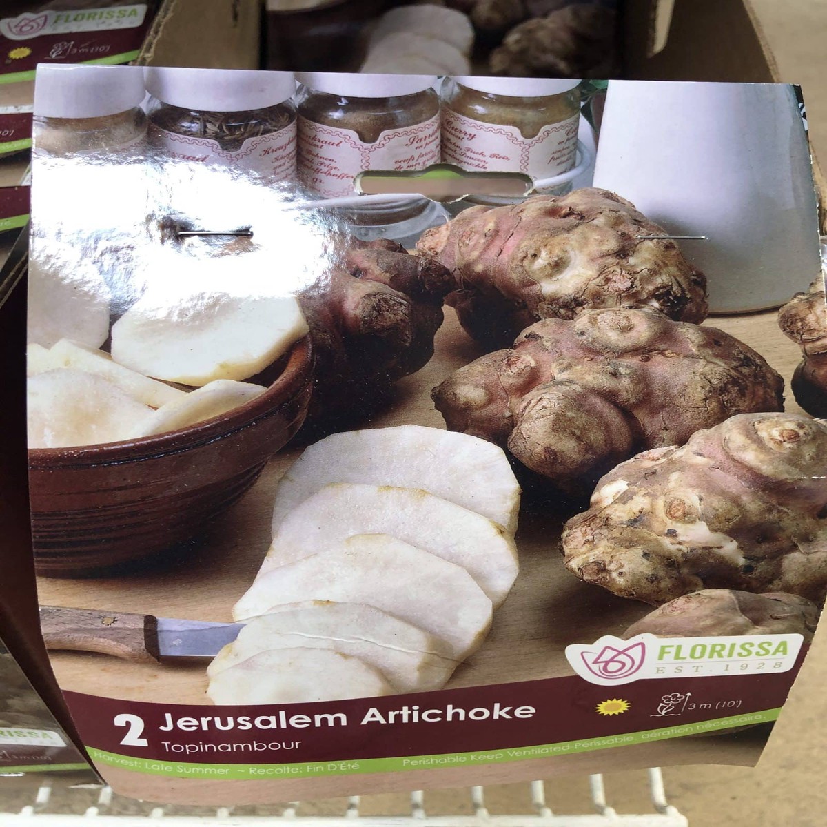 Spring Bulbs-Artichoke Jerusalem-Florissa
