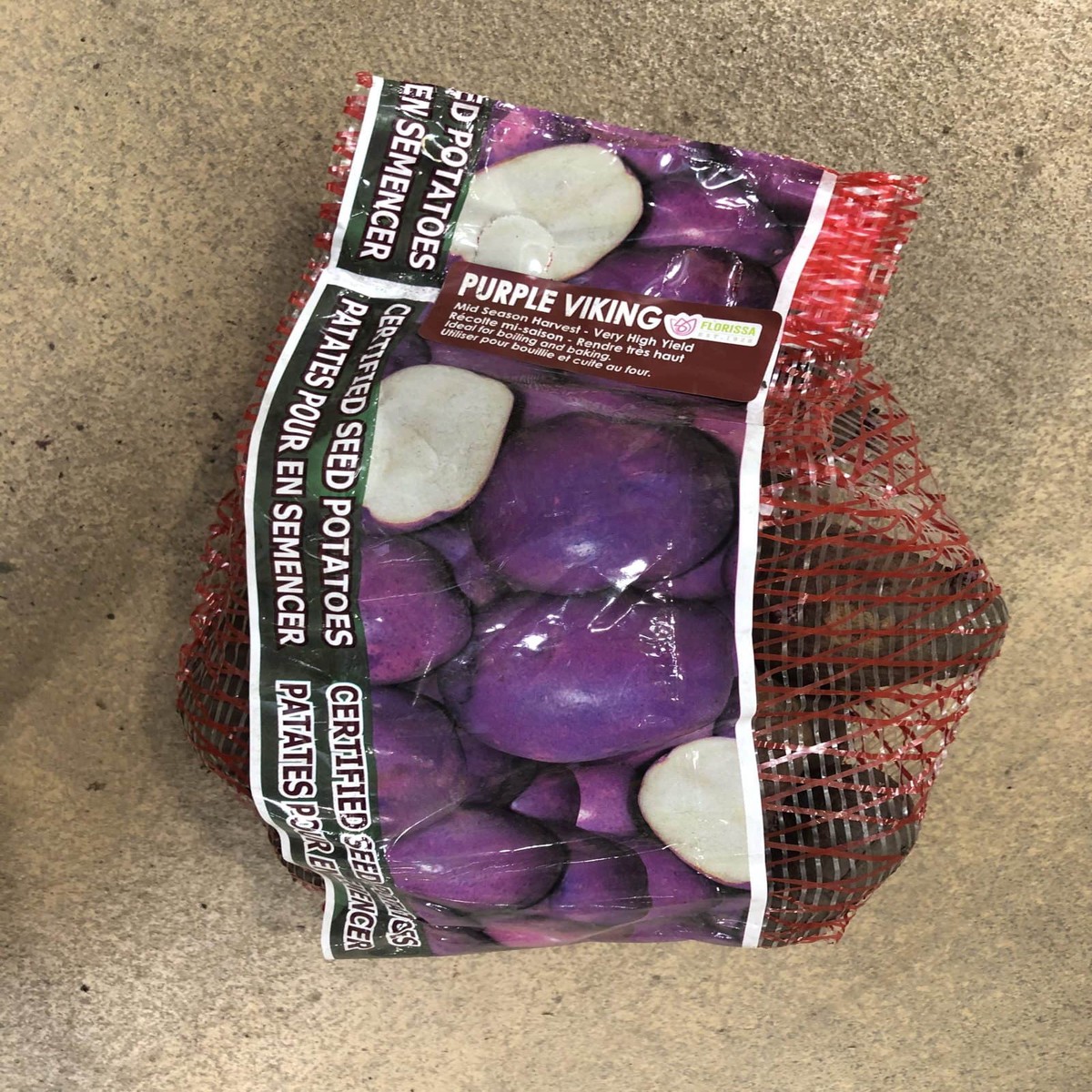 Spring Bulbs-Potatoes Seed Purple Viking-Florissa