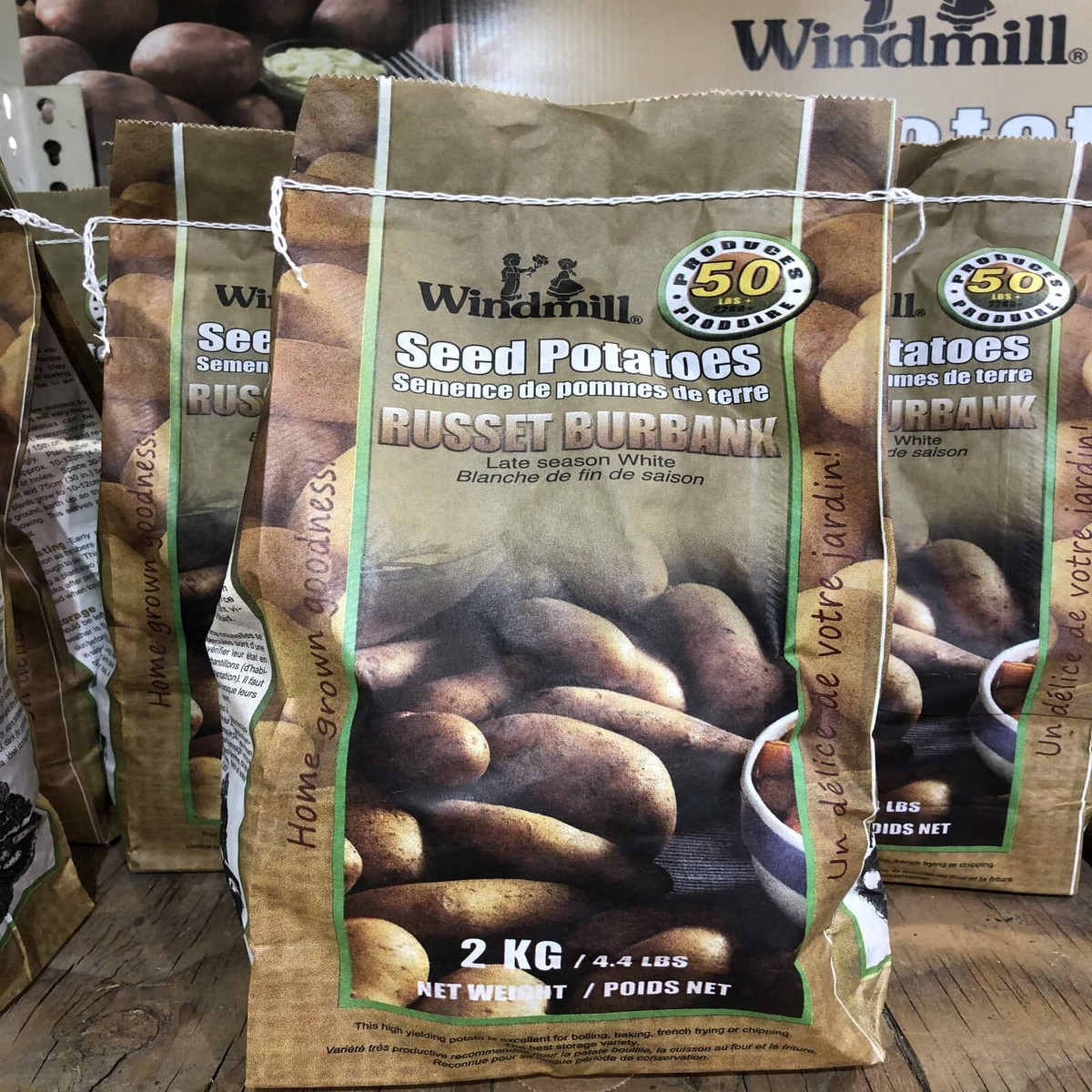 Spring Bulbs-Seed Potatoes Russet Burbank-Windmill