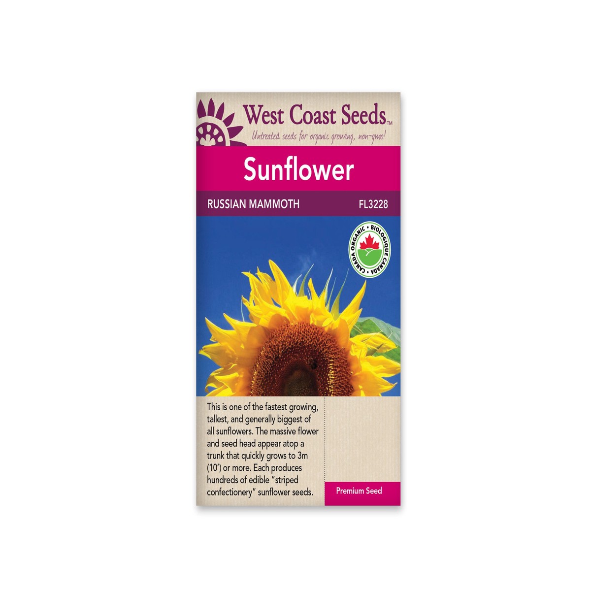Sunflowers-Russian Mammoth Certified Organic-West Coast