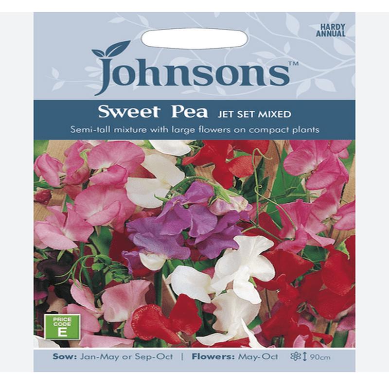Sweet Pea - Jet Set Mix
