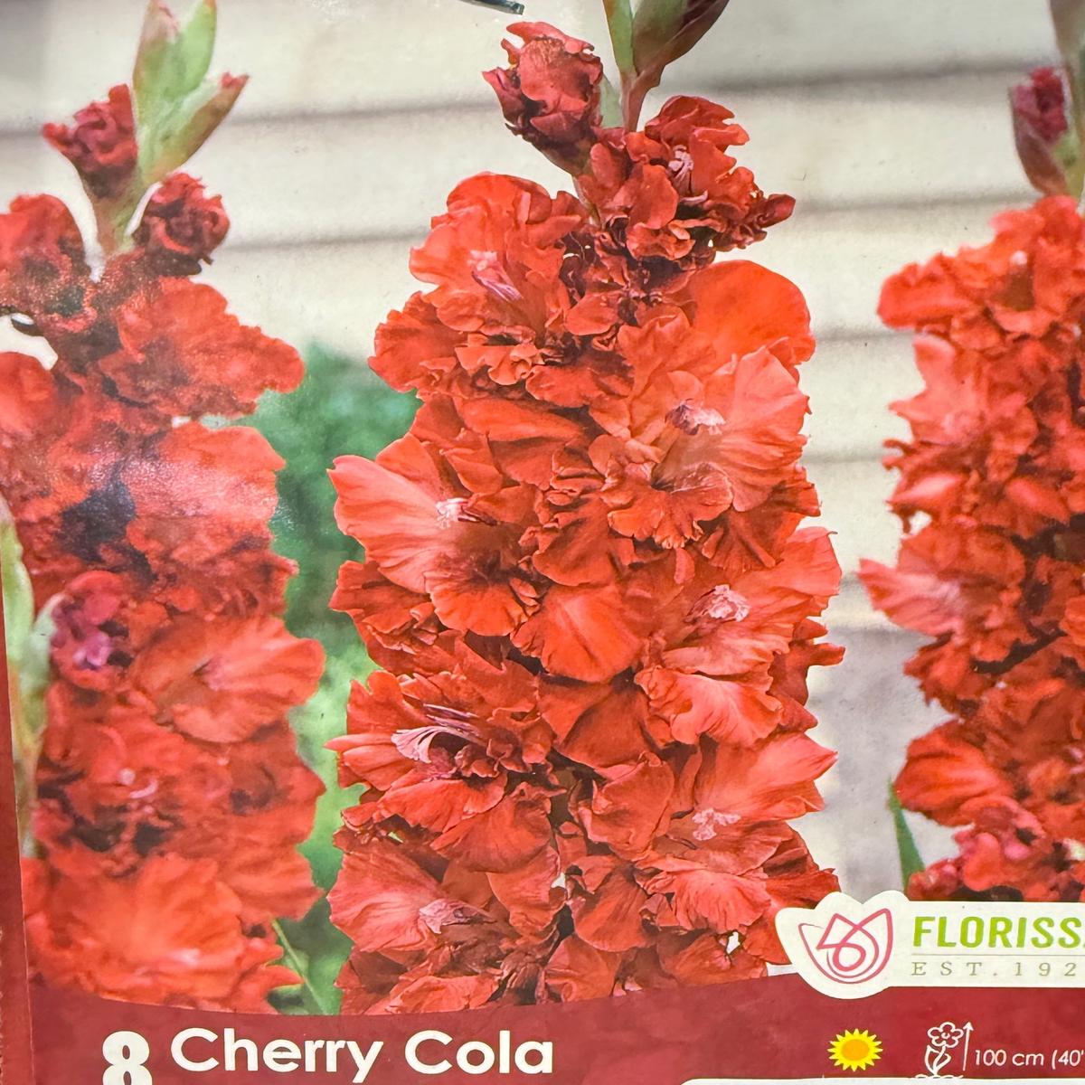 Glads - Cherry Cola