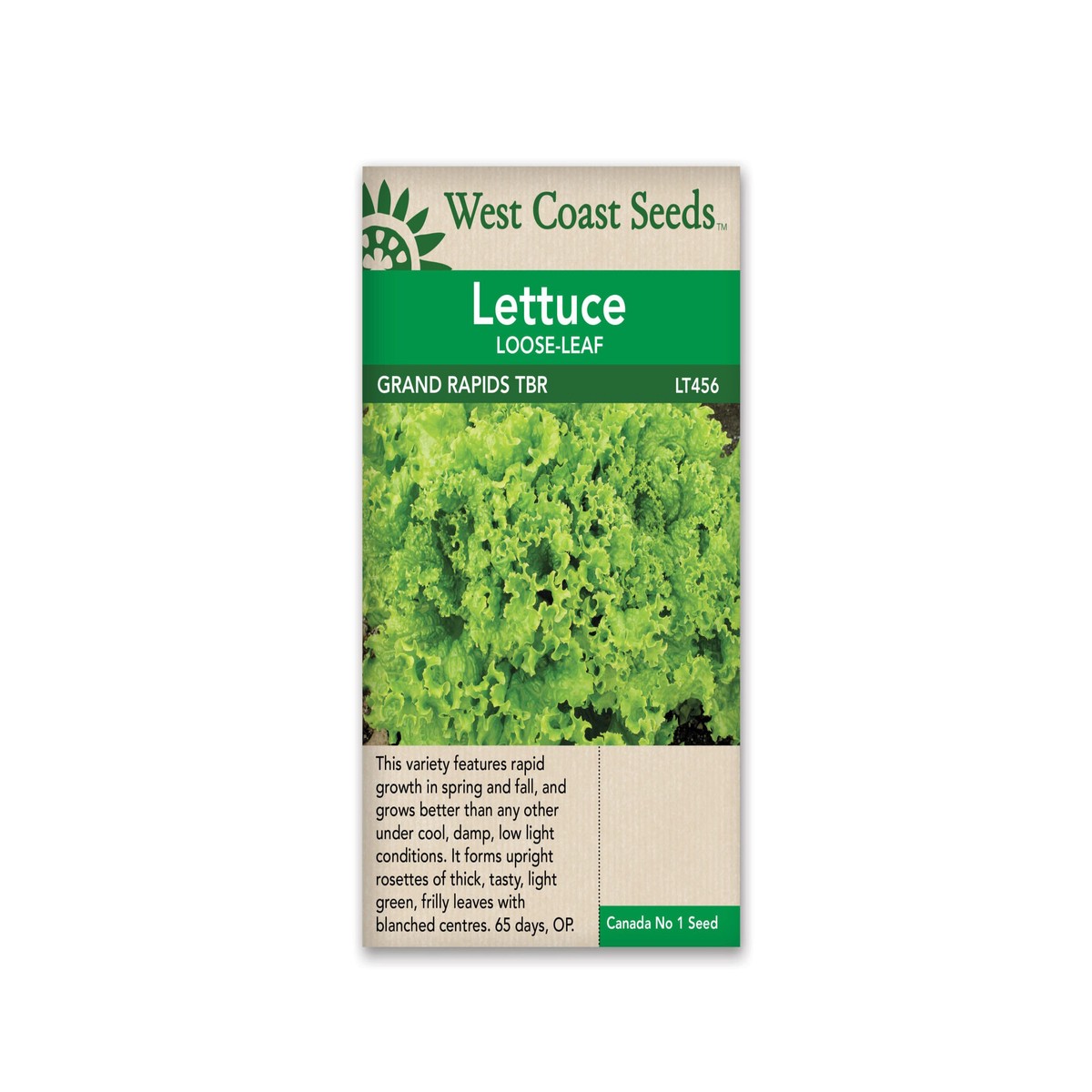 Lettuce - Grand Rapids TBR-West Coast