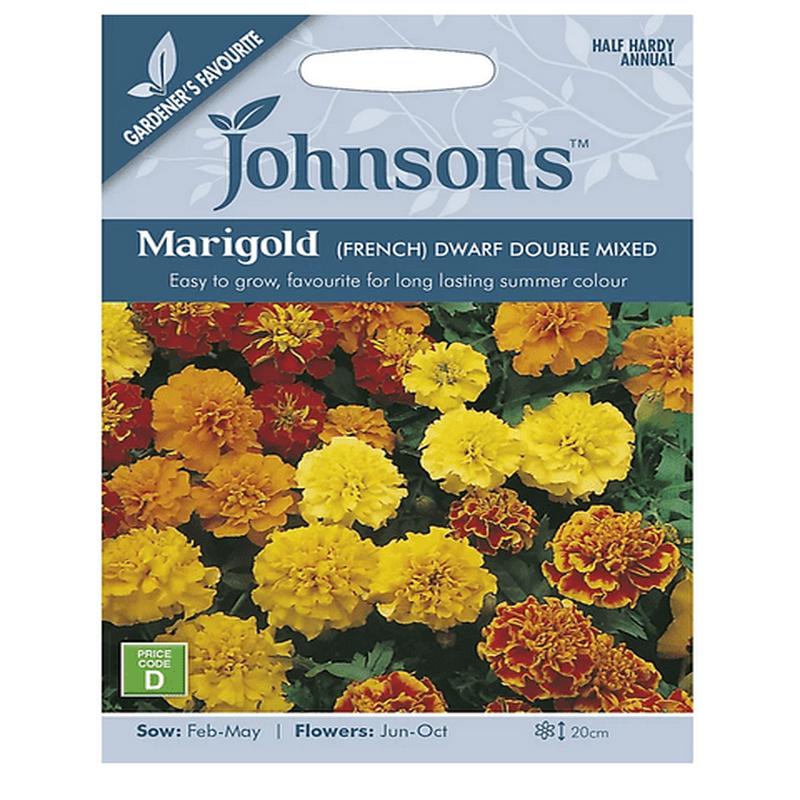 Marigold - French Dwarf