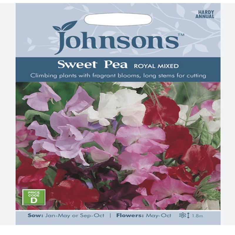 Sweet Pea - Royal Mixed