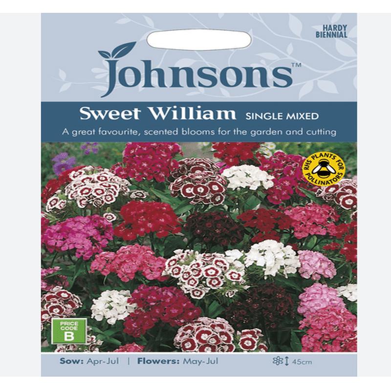 Sweet William - Single Mix