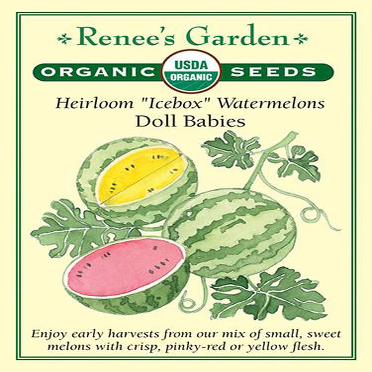 Watermelon-Heirloom Icebox Watermelons Doll Babies Organic