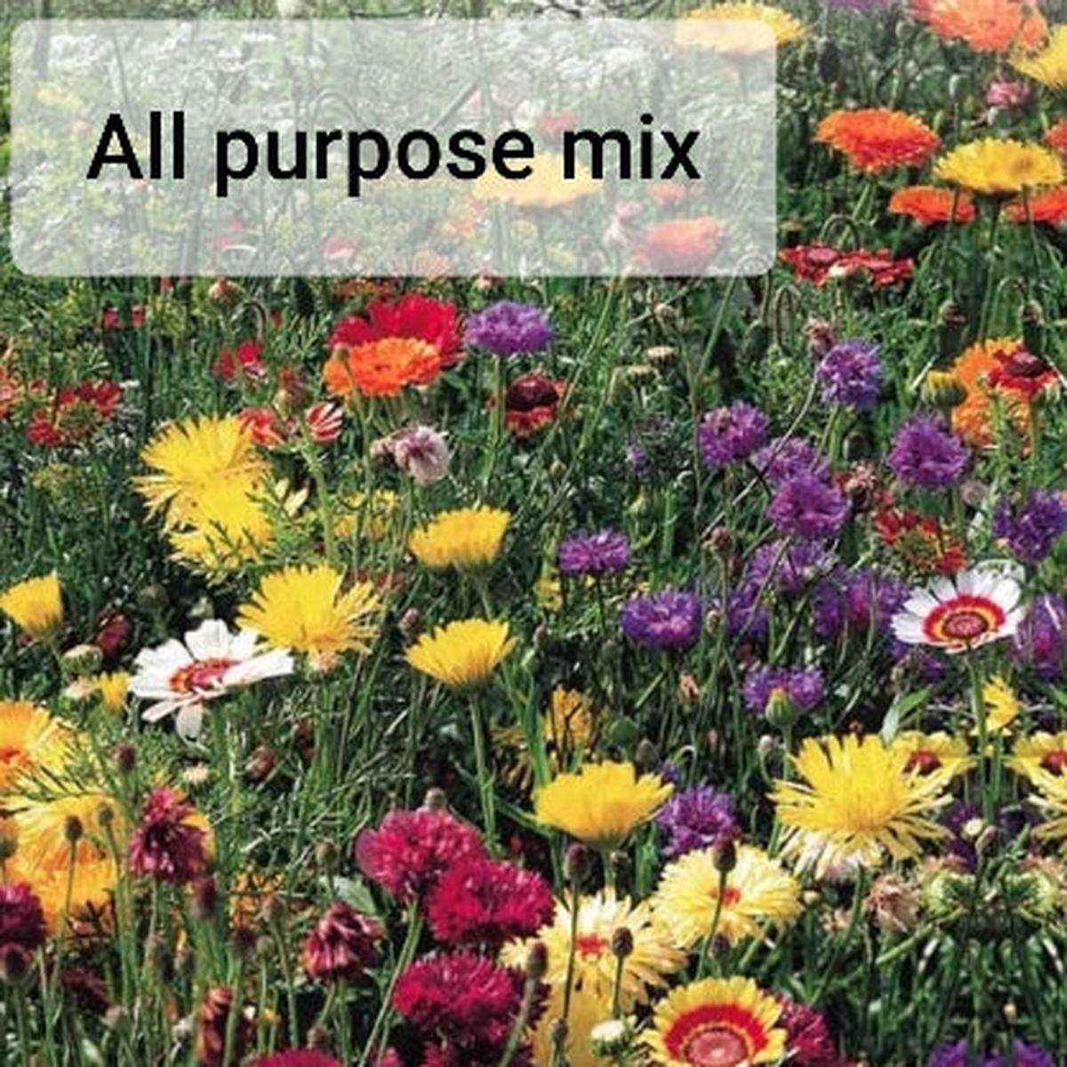 Wildflower - Seed Packet