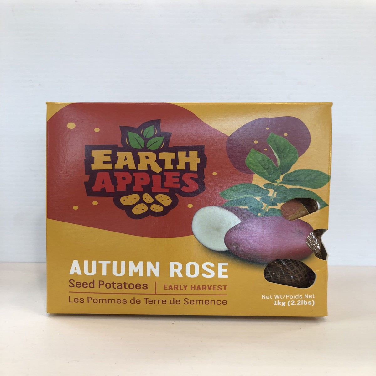 Spring Bulbs - Seed Potatoes Autumn Rose-Earthapples