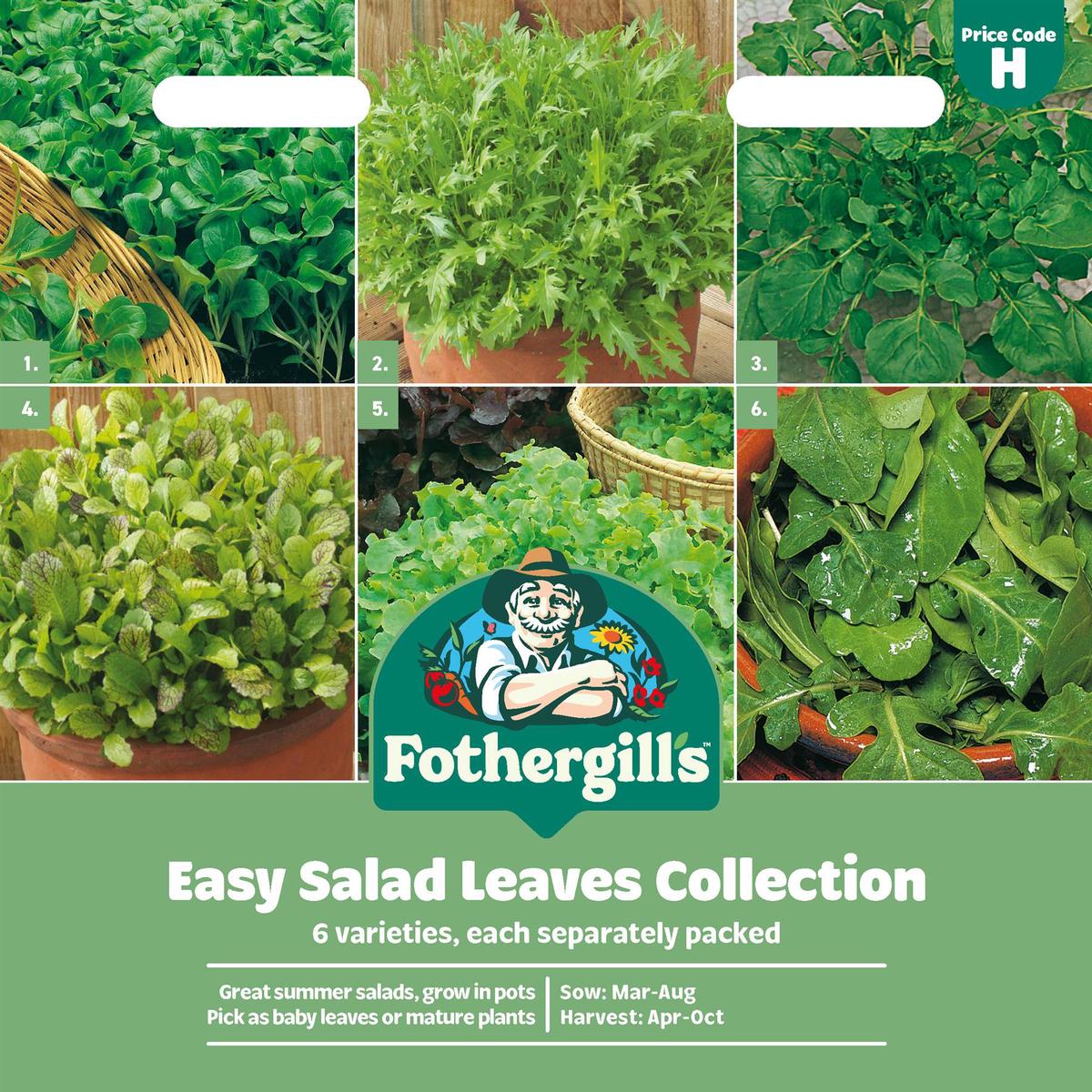Fothergills Easy Salad Leaves Seeds