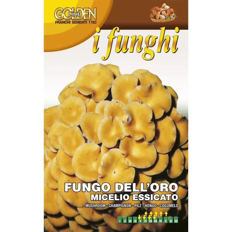 Franchi - Mushroom - Golden - Pleurotus Cornucopiae - 100g