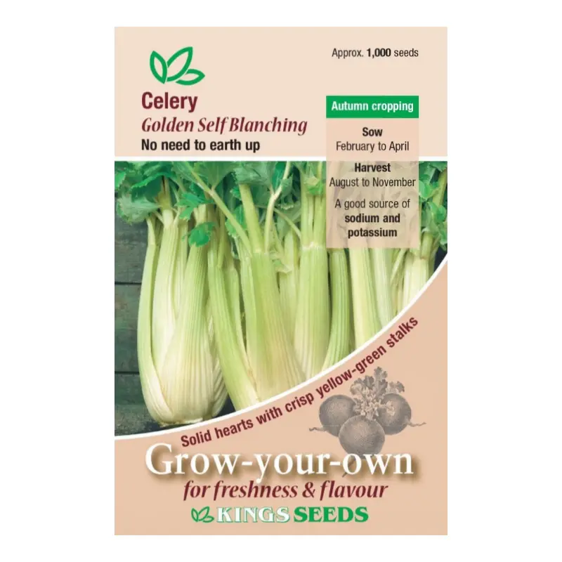 Kings Seeds Celery Golden Self Blanching 1000 Seeds