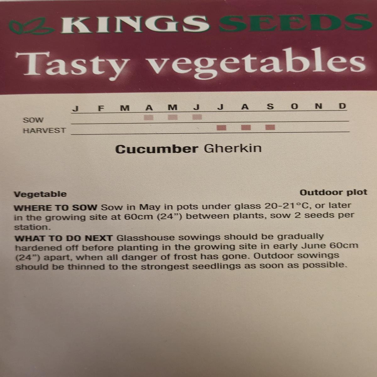 Kings Seeds Cucumber Gherkin 50 Seeds - Reduced due to short date