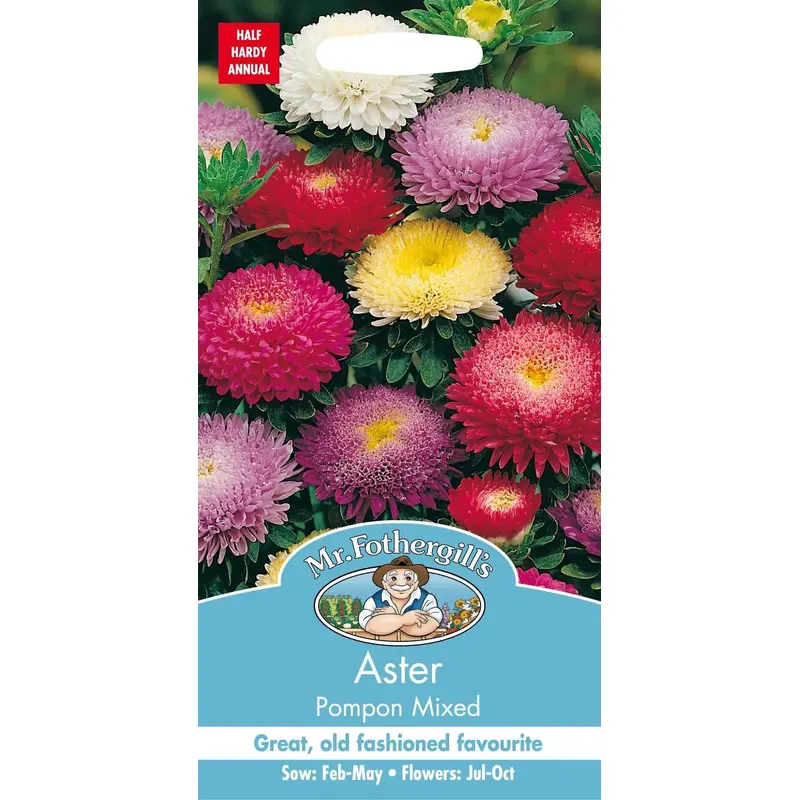 Mr Fothergills Aster Pompon mixed 250 Seeds