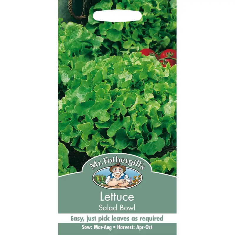 Mr Fothergills Lettuce Salad Bowl 1250 Seeds