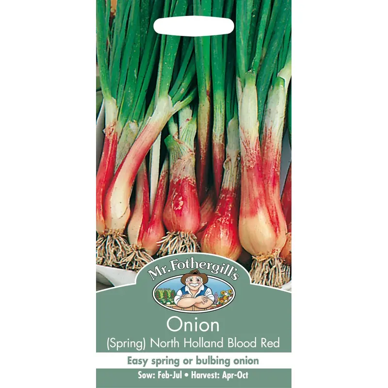 Mr Fothergills Spring Onion North Holland Blood Red 350 Seeds