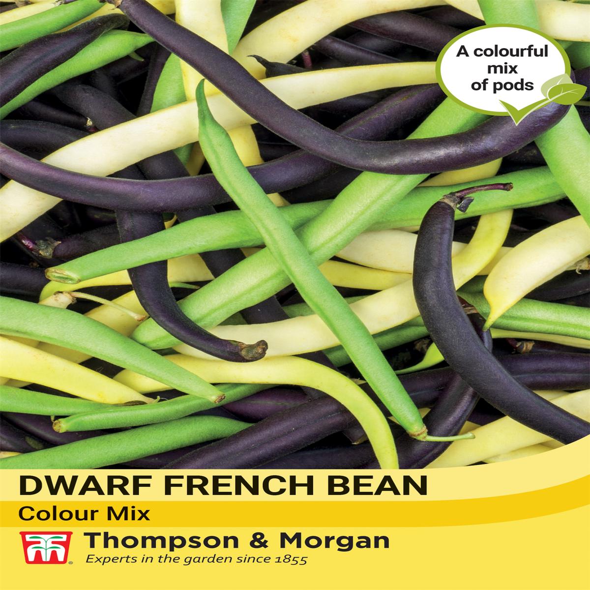 Thompson & Morgan Vegetable Dwarf French Bean Colour Mix - 120 Seeds