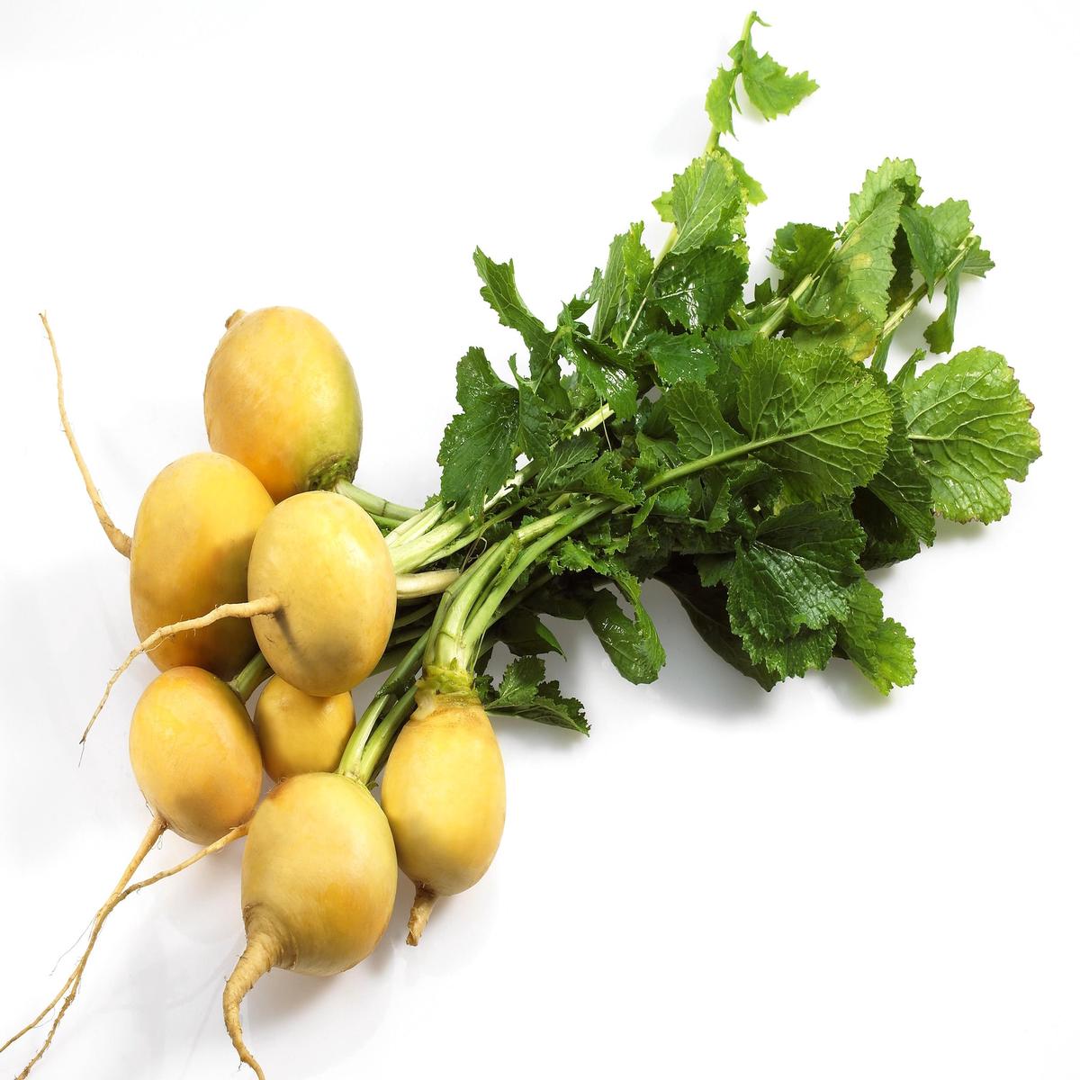 Turnip Golden Ball Seeds