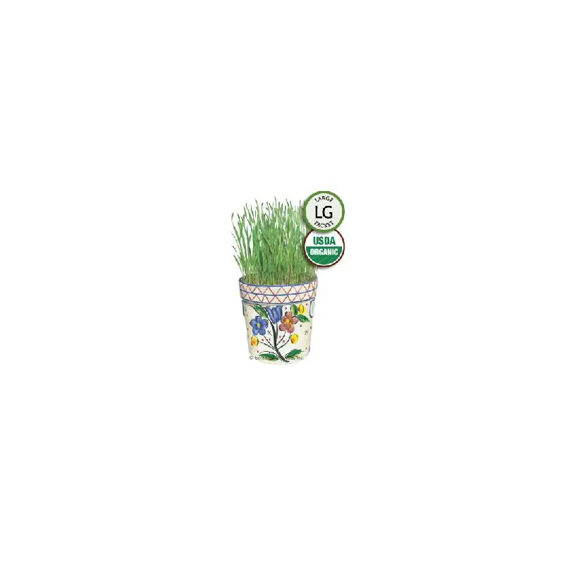 Wheatgrass Liquid Sunshine Organic HEIRLOOM Botanical Interests Seeds