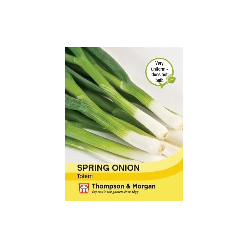 Thompson & Morgan Spring Onion Totem 400 seed
