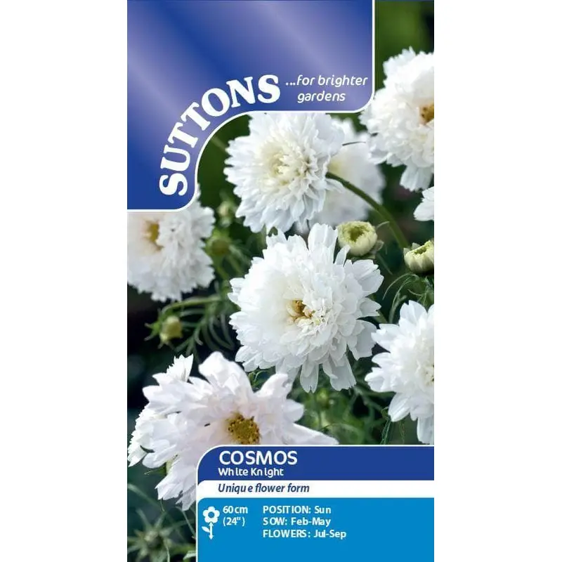 Sutton Seeds - Cosmea Seeds - White Knight