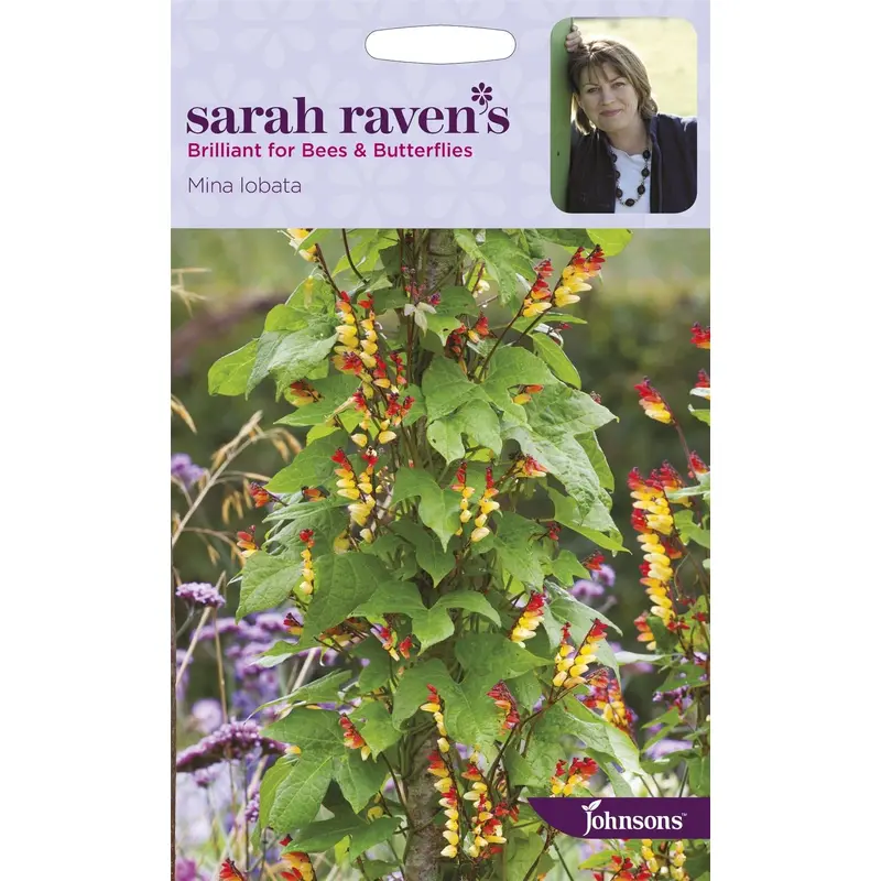 Johnsons Sarah Raven's Mina Lobata 30 Seeds
